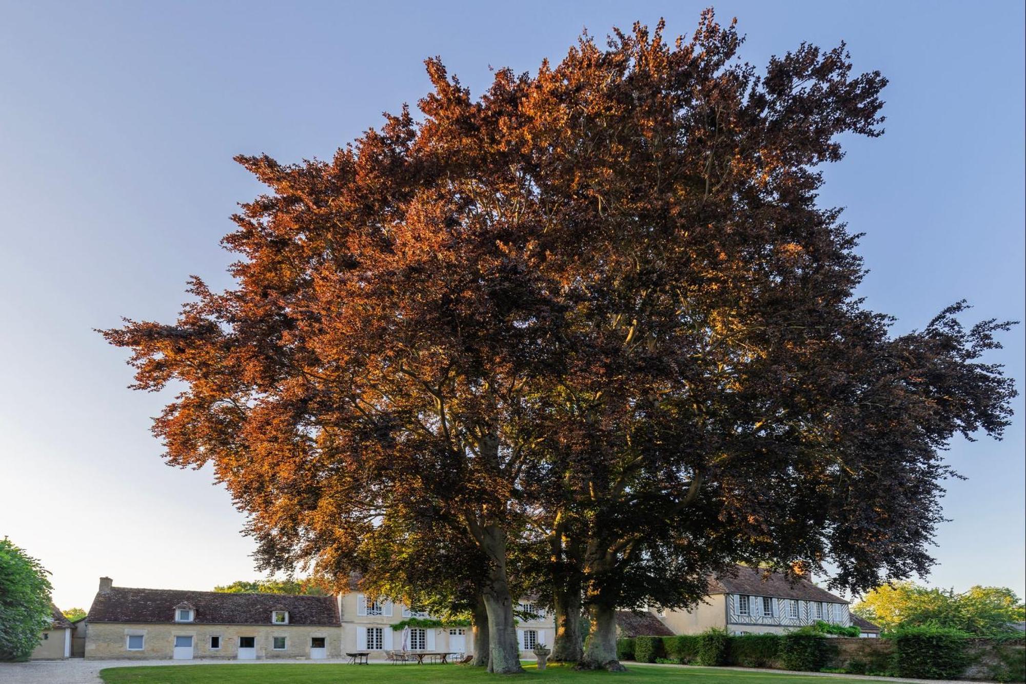 Bagatelle Avec Jardin Et Piscine Chauffee Villa Bieville-en-Auge Buitenkant foto